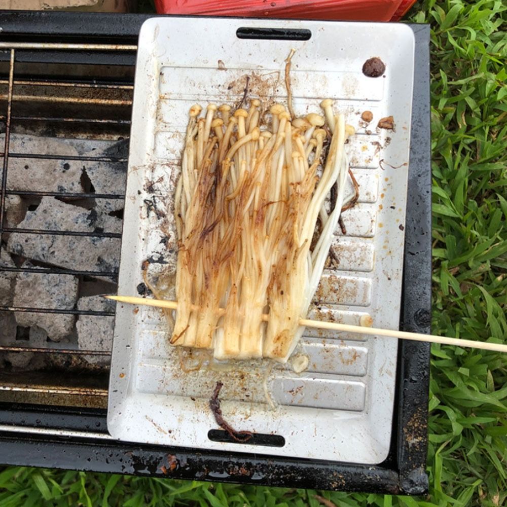 Durable Titanium Camping Grill - Camping Cooking Pan recensie en prijs