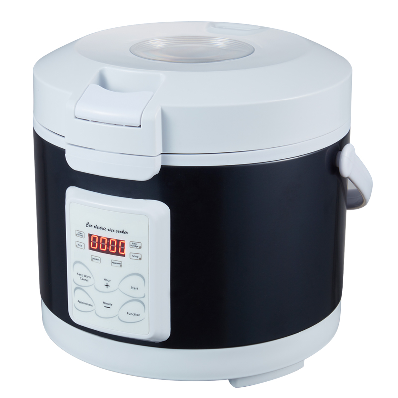 ARIER 12V 24V 220V Mini Rice C - Camping Cooking Menu recensie en prijs